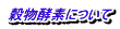 穀物酵素について